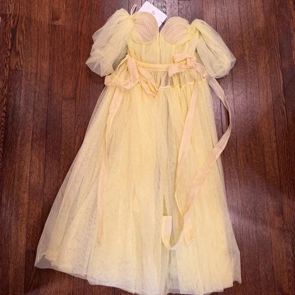 NWT Alexander McQueen Off the Shoulder Tulle Midi Dress Paris Runway IT 38 US 2 - Picture 5 of 8